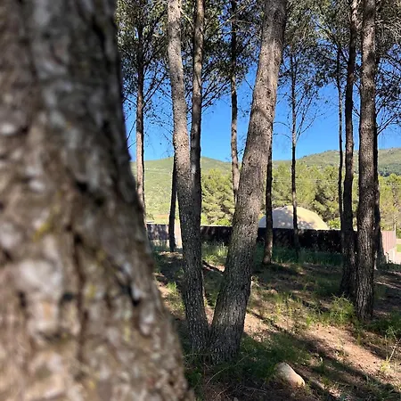 营地 El Moli Glamping Escapada Romantica